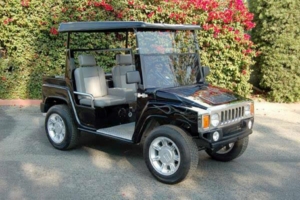 affordable golf cart rental, golf cart rent amarillo